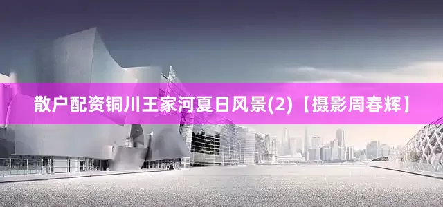 散户配资铜川王家河夏日风景(2)【摄影周春辉】